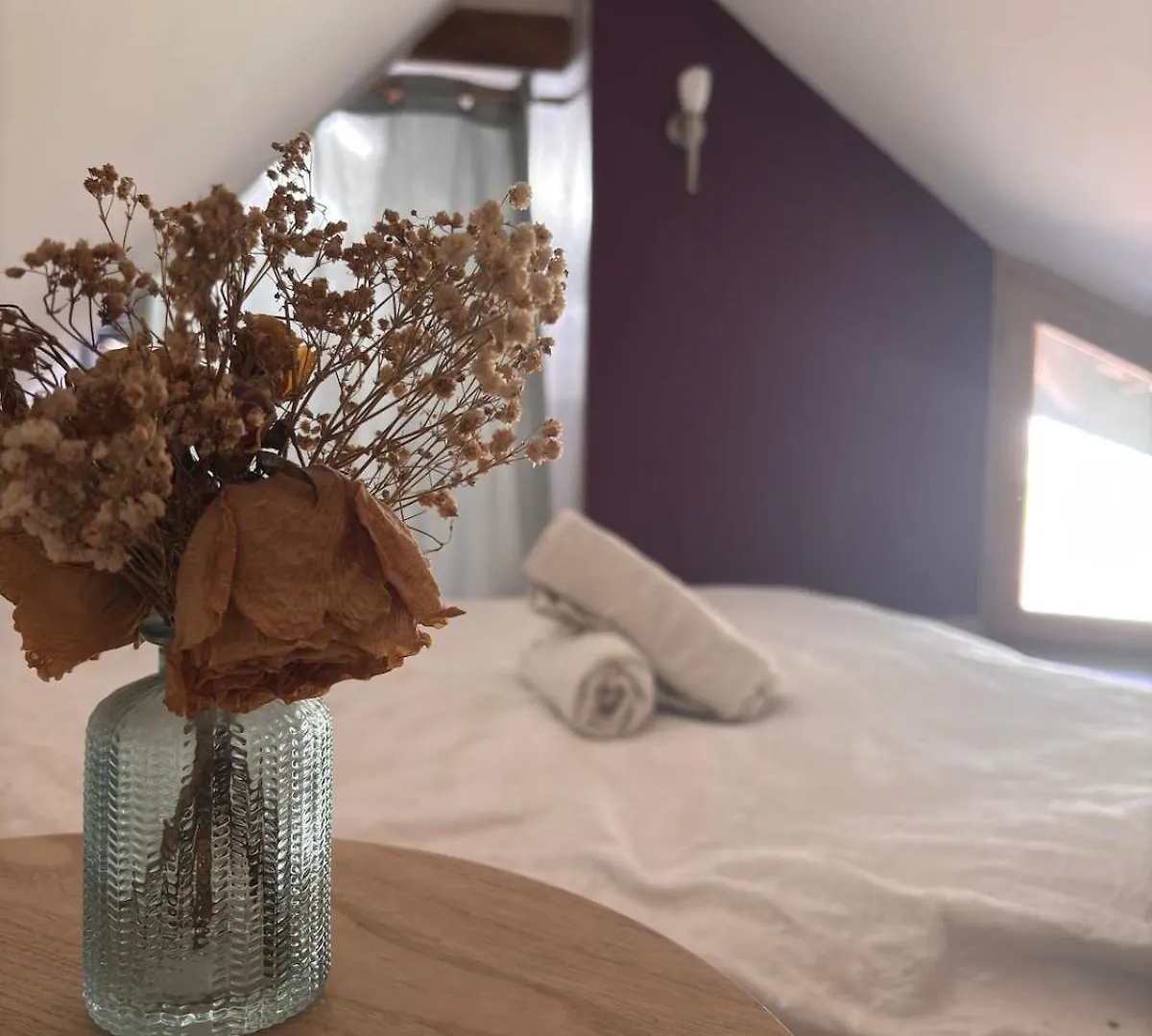 Le Medieval Dernier Etage Dans Le Centre Historique La Roche-sur-Foron 0*,