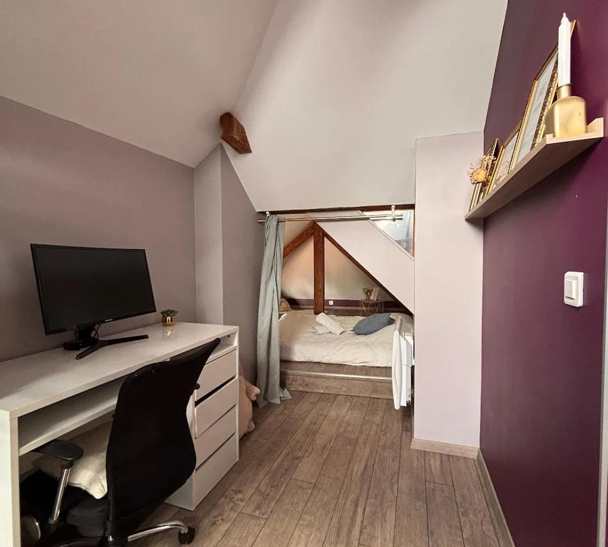 Le Medieval Dernier Etage Dans Le Centre Historique La Roche-sur-Foron