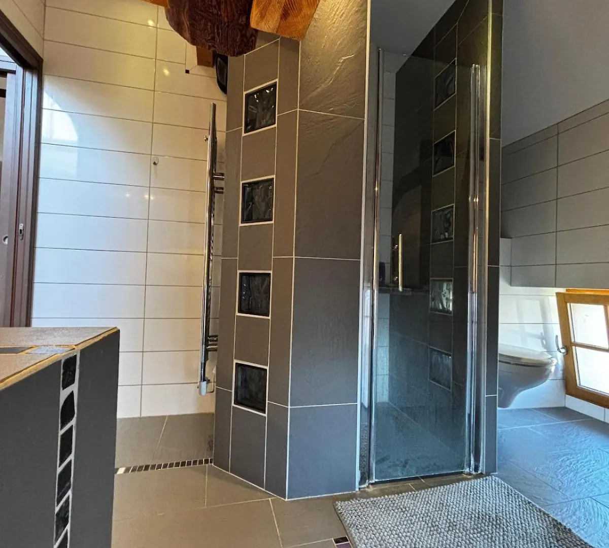 Apartman Le Medieval Dernier Etage Dans Le Centre Historique La Roche-sur-Foron